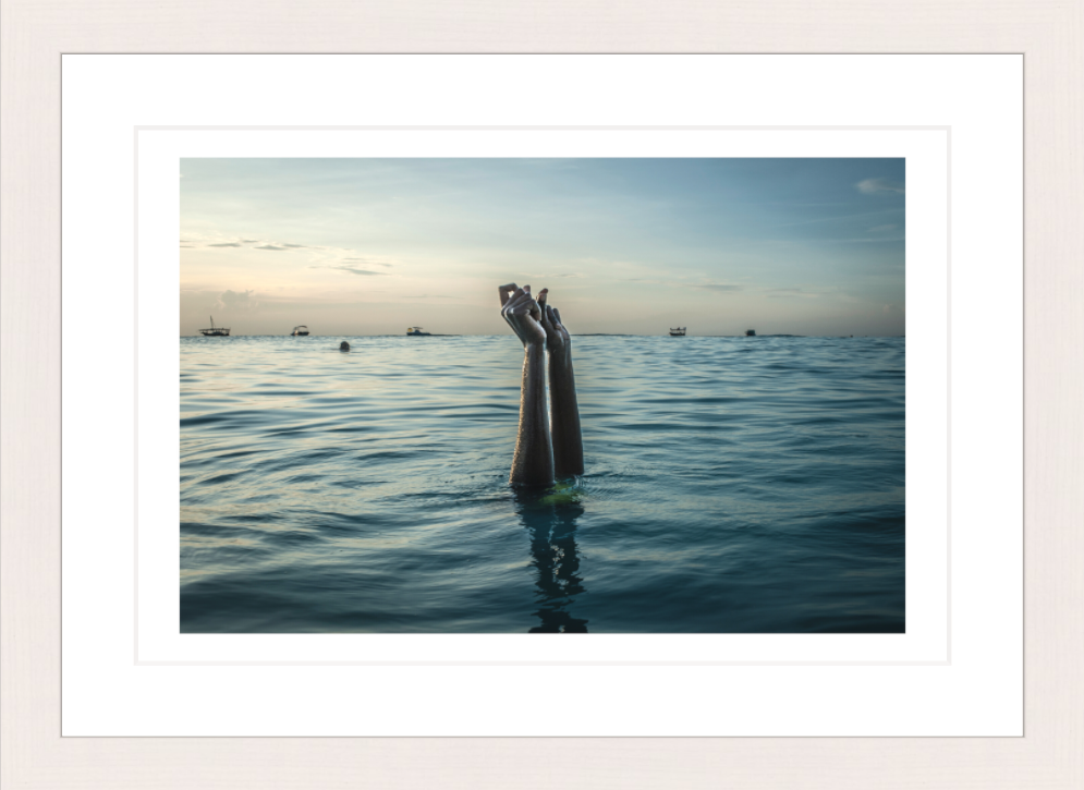 30 x 20 cm, Framed - White Maple Anna Boyiazis