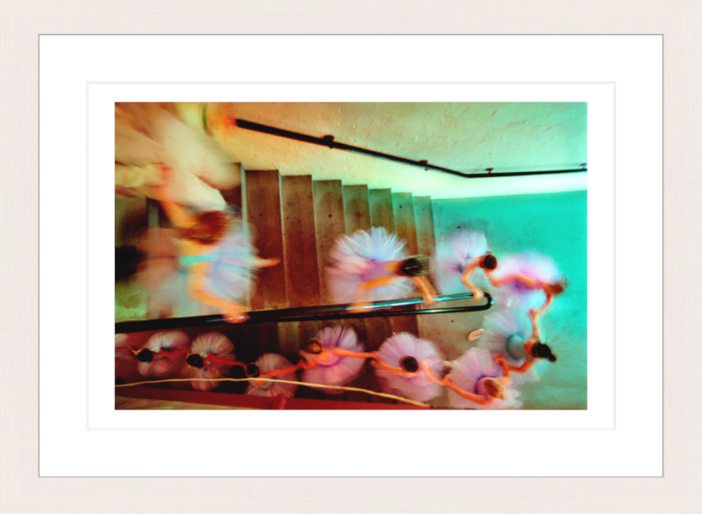 30 x 20 cm, Framed - White Maple Narelle Autio