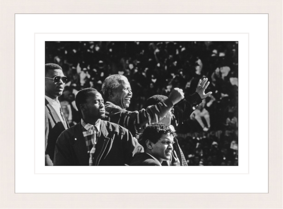 30 x 20 cm, Framed - White Maple (B&W) George Hallett