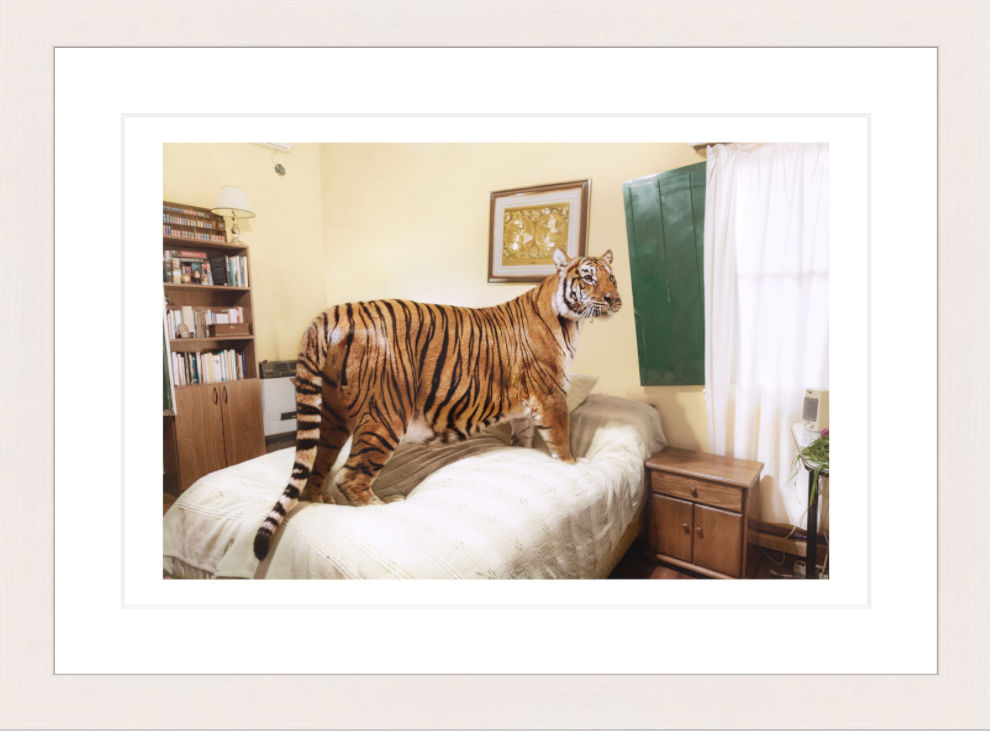 30 x 20 cm, Framed - White Maple Sofía López Mañán