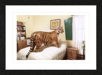 30 x 20 cm, Framed - Black Oak Sofía López Mañán