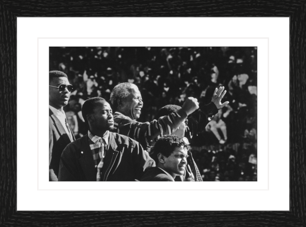 30 x 20 cm, Framed - Black Oak (B&W) George Hallett