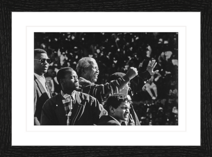 30 x 20 cm, Framed - Black Oak (B&W) George Hallett