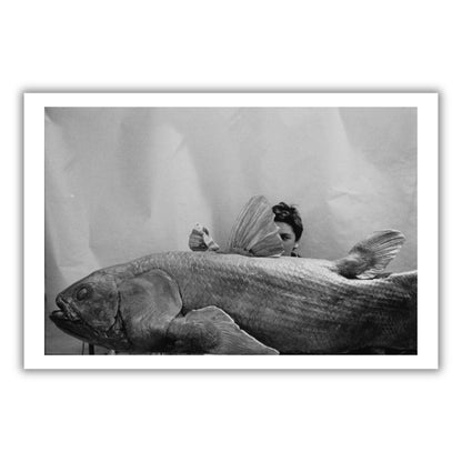 François Le Diascorn