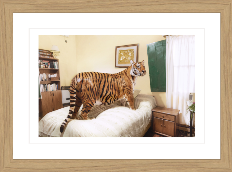 30 x 20 cm, Framed - Oak Sofía López Mañán