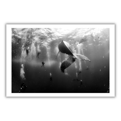 Anuar Patjane Floriuk