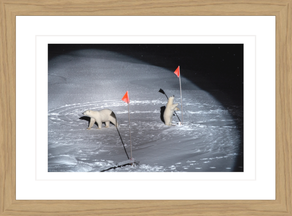 30 x 20 cm, Framed - Oak Esther Horvath