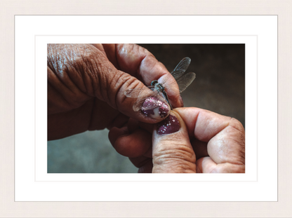 30 x 20 cm, Framed - White Maple Hannah Reyes Morales