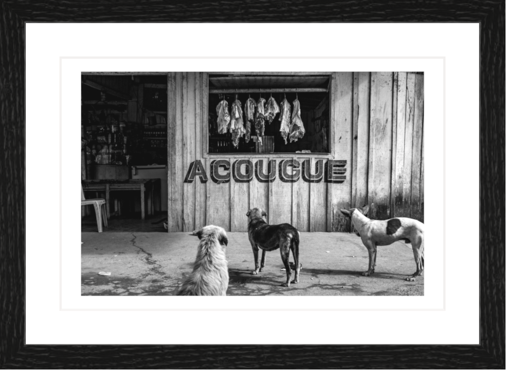 30 x 20 cm, Framed - Black Oak (B&W) Lalo de Almeida