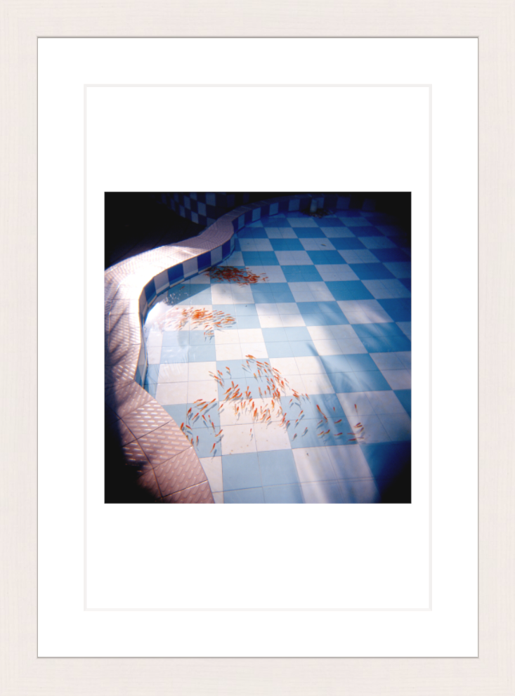 20 x 30 cm, Framed - White Maple Chang He