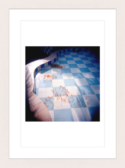 20 x 30 cm, Framed - White Maple Chang He