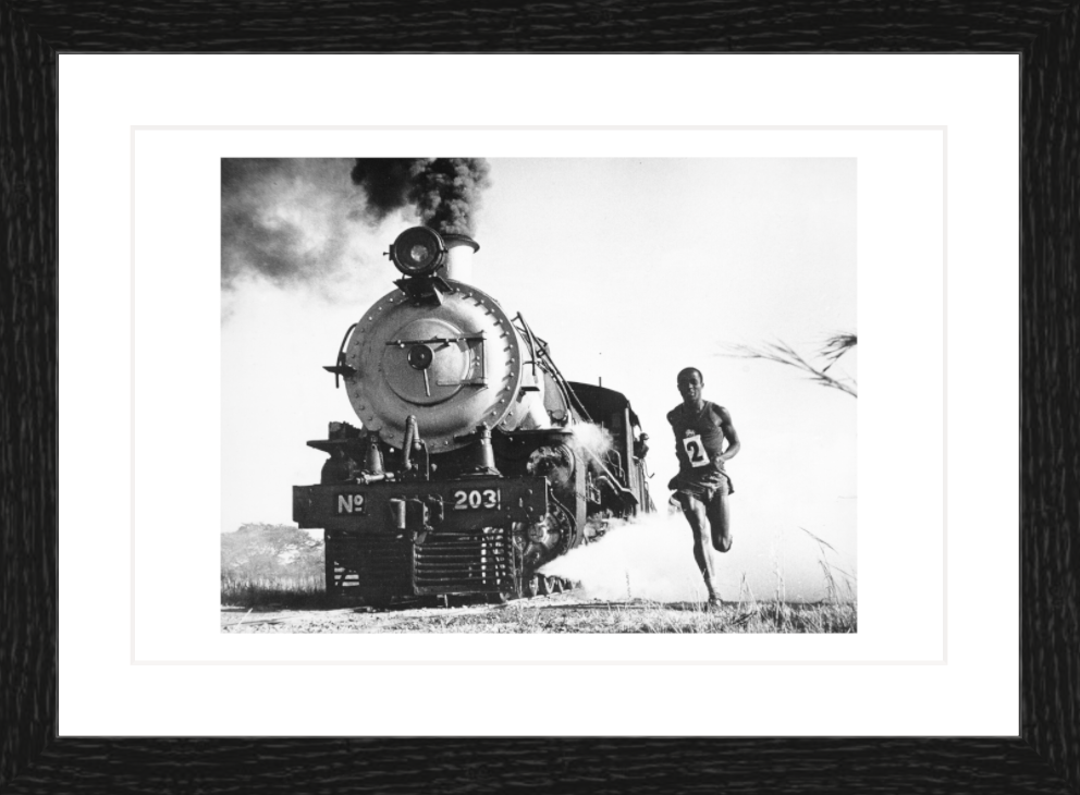 30 x 20 cm, Framed - Black Oak (B&W) David Paynter