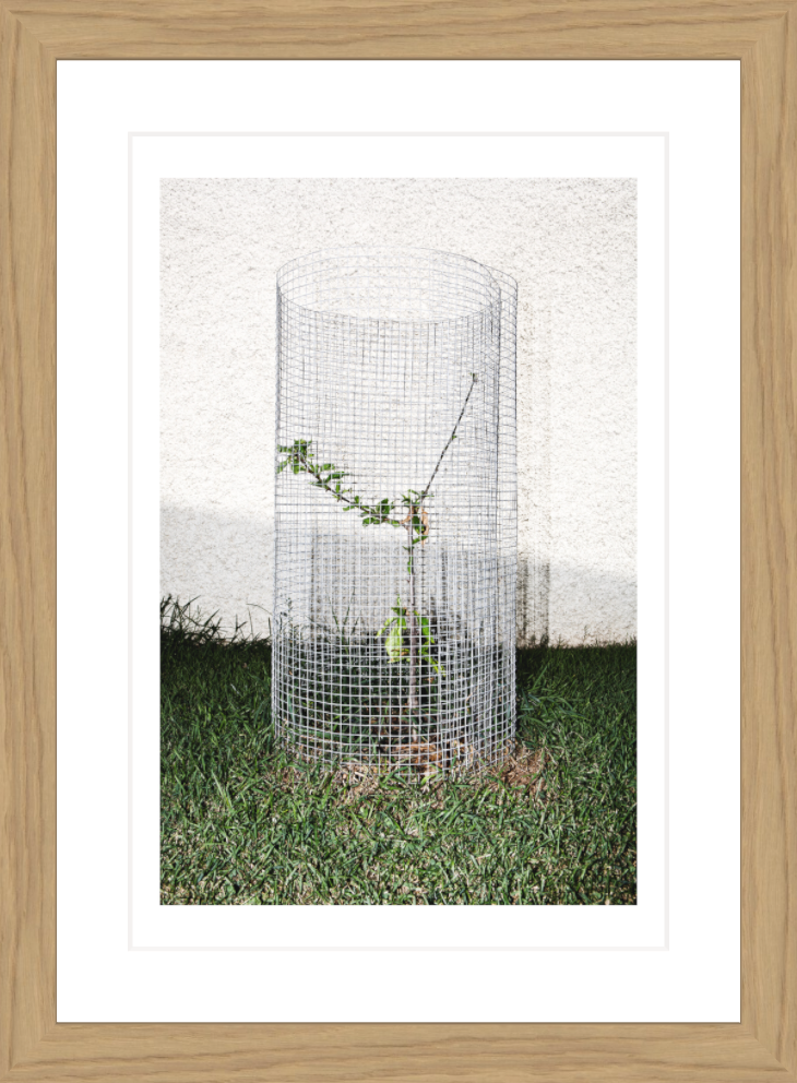 20 x 30 cm, Framed - Oak Iñaki Domingo