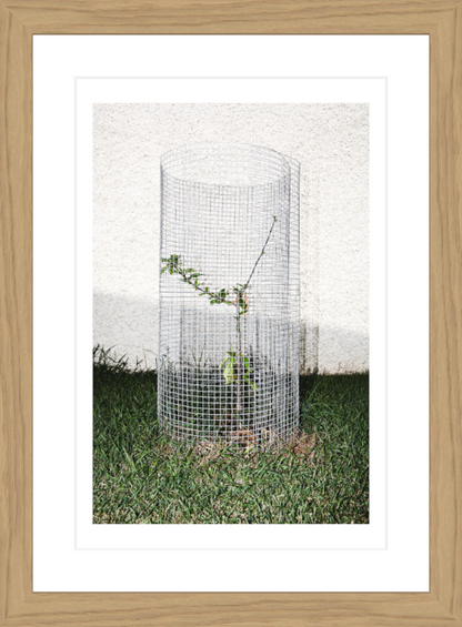 20 x 30 cm, Framed - Oak Iñaki Domingo