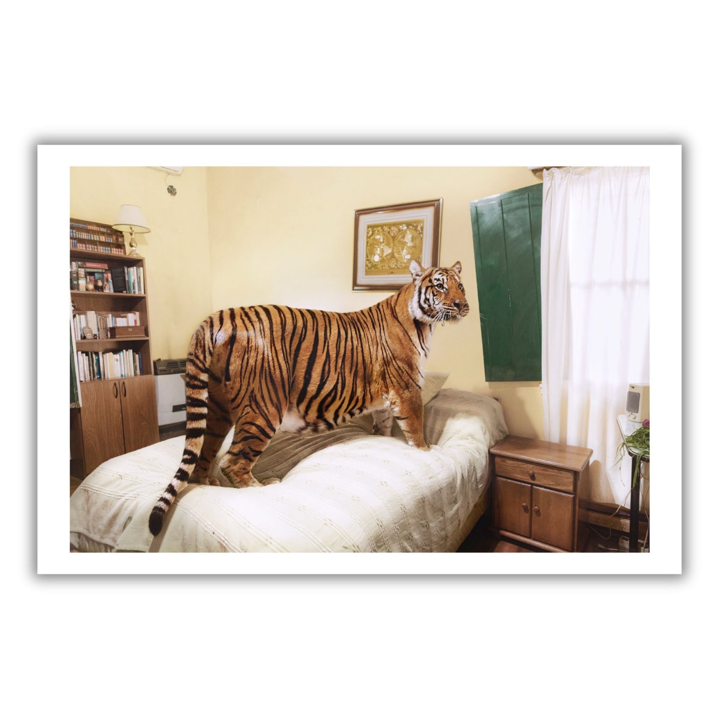 Sofía López Mañán