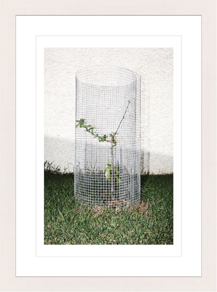 20 x 30 cm, Framed - White Maple Iñaki Domingo