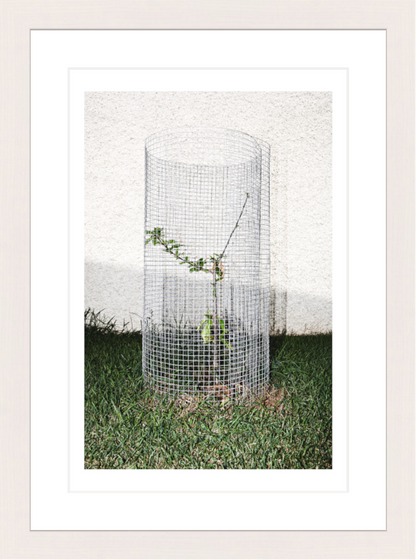 20 x 30 cm, Framed - White Maple Iñaki Domingo