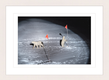 30 x 20 cm, Framed - White Maple Esther Horvath