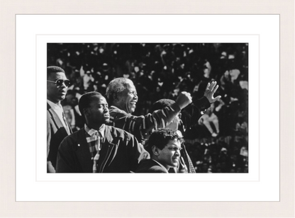 30 x 20 cm, Framed - White Maple (B&W) George Hallett