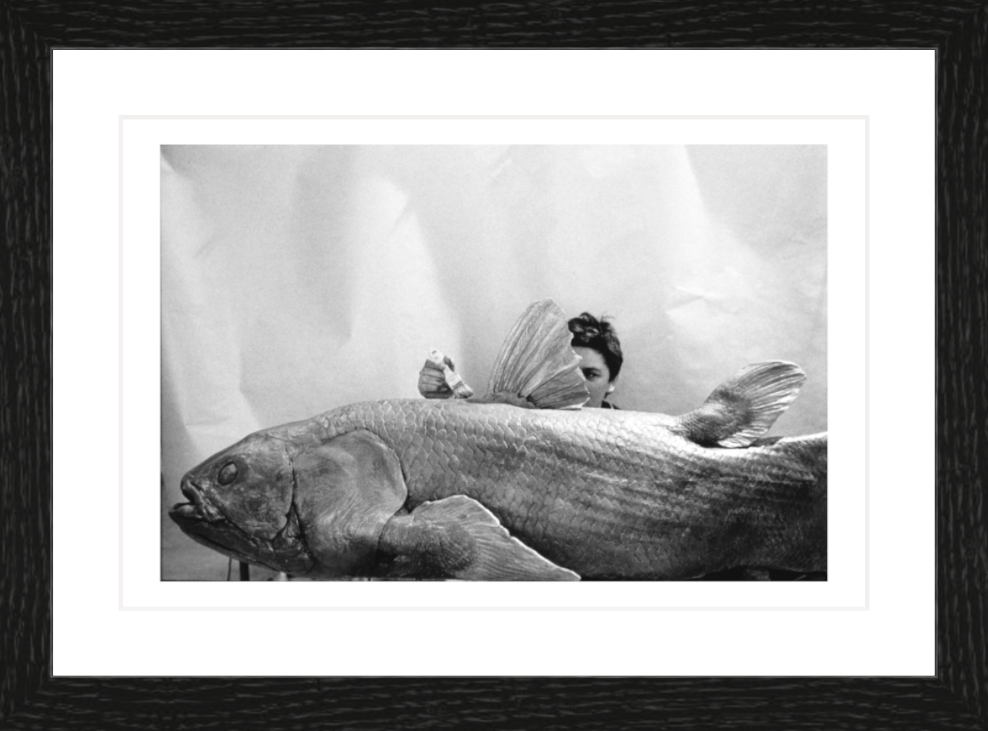 30 x 20 cm, Framed - Black Oak (B&W) François Le Diascorn