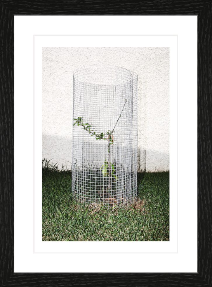 20 x 30 cm, Framed - Black Oak Iñaki Domingo