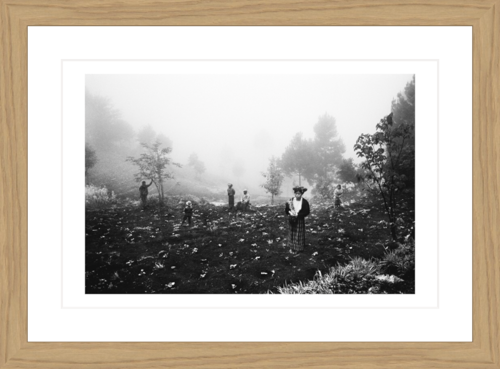 30 x 20 cm, Framed - Oak (B&W) Jacob Aue Sobol