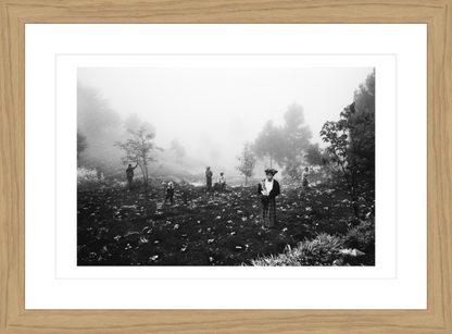 30 x 20 cm, Framed - Oak (B&W) Jacob Aue Sobol