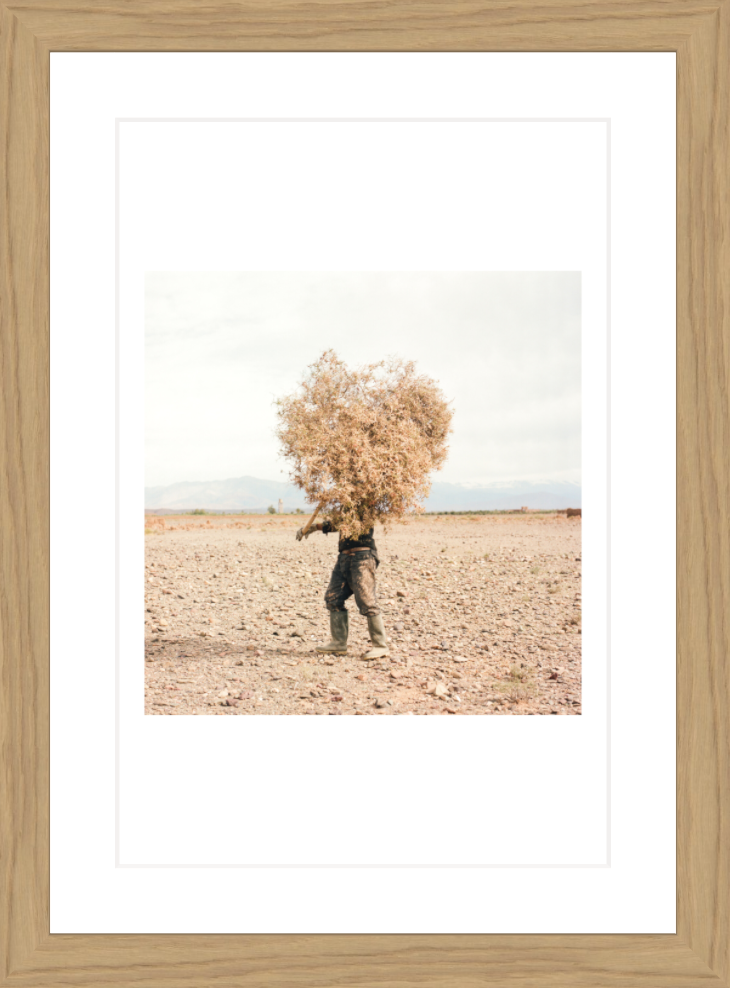 20 x 30 cm, Framed - Oak M'hammed Kilito