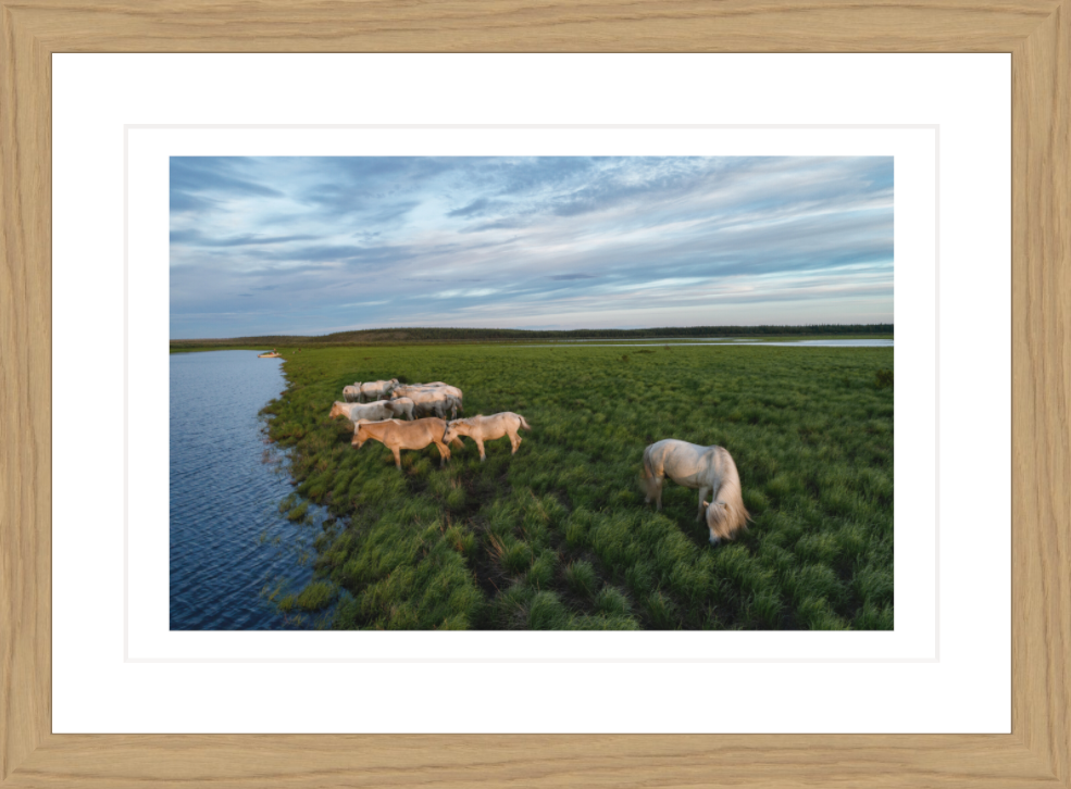 30 x 20 cm, Framed - Oak Katie Orlinsky