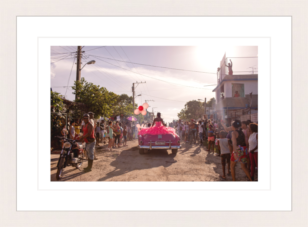 30 x 20 cm, Framed - White Maple Diana Markosian