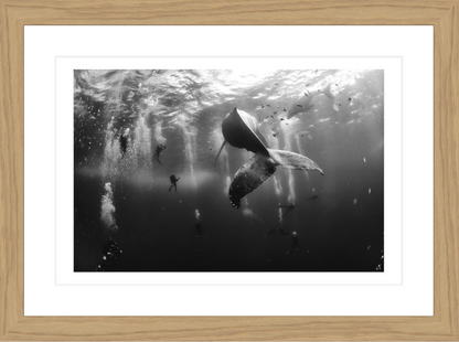 30 x 20 cm, Framed - Oak (B&W) Anuar Patjane Floriuk