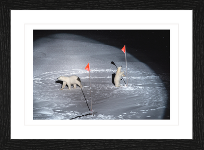 30 x 20 cm, Framed - Black Oak Esther Horvath