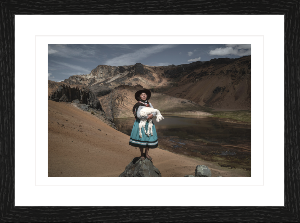 30 x 20 cm, Framed - Black Oak Alessandro Cinque