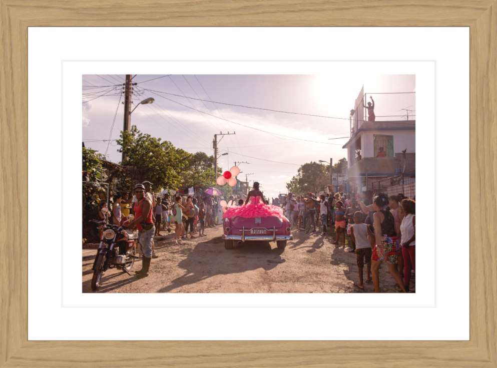 30 x 20 cm, Framed - Oak Diana Markosian