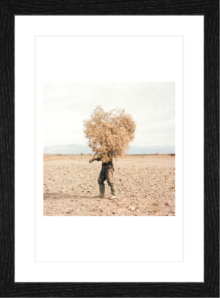 20 x 30 cm, Framed - Black Oak M'hammed Kilito