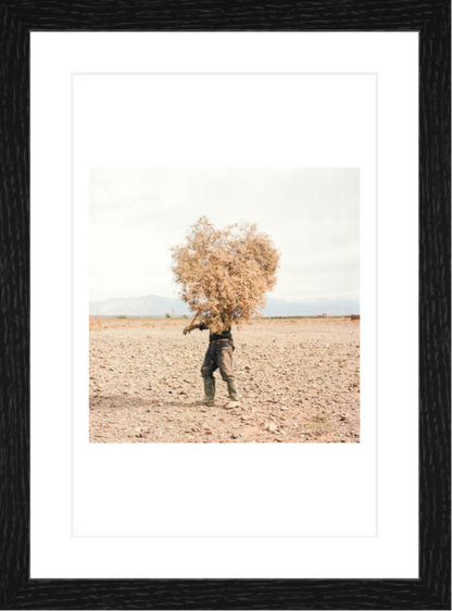 20 x 30 cm, Framed - Black Oak M'hammed Kilito