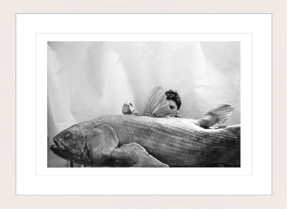 30 x 20 cm, Framed - White Maple (B&W) François Le Diascorn