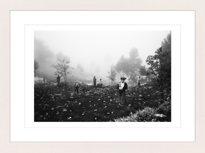 30 x 20 cm, Framed - White Maple (B&W) Jacob Aue Sobol