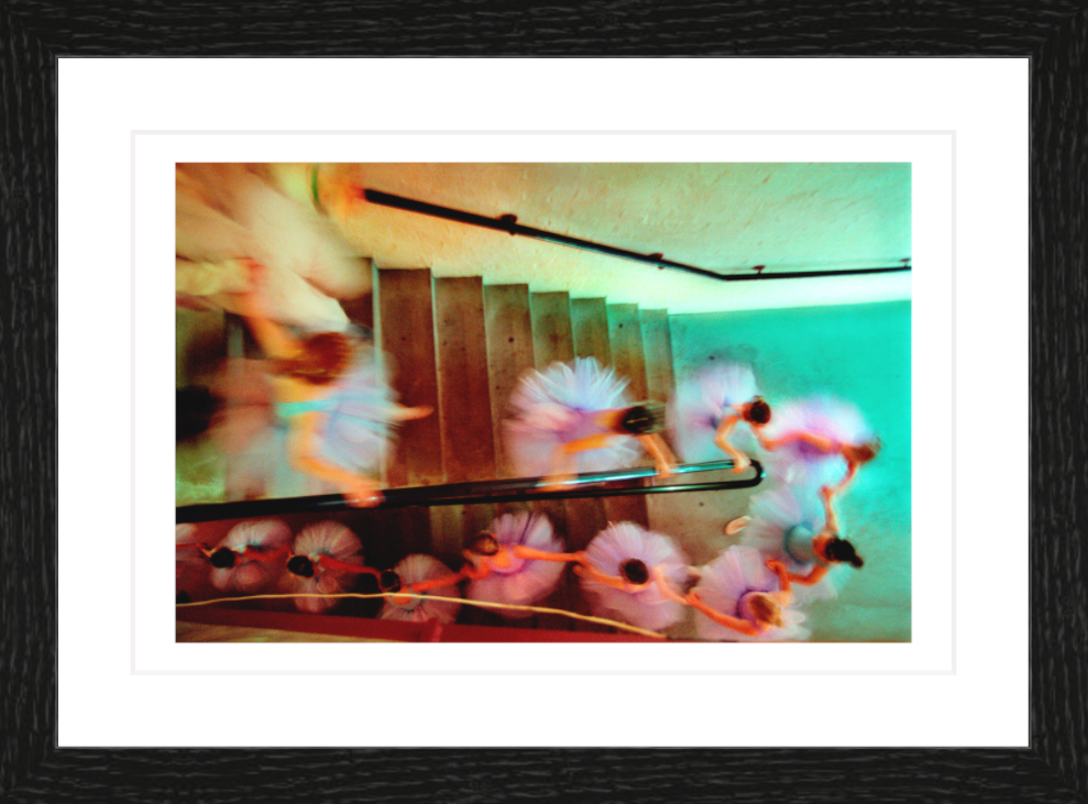 30 x 20 cm, Framed - Black Oak Narelle Autio