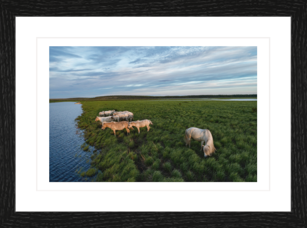 30 x 20 cm, Framed - Black Oak Katie Orlinsky