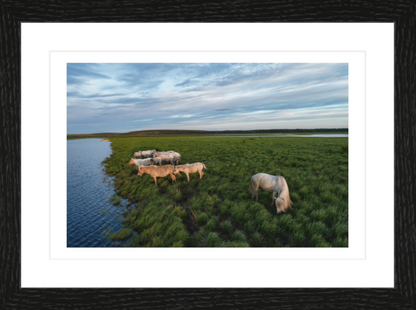 30 x 20 cm, Framed - Black Oak Katie Orlinsky