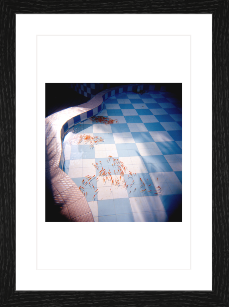 20 x 30 cm, Framed - Black Oak Chang He